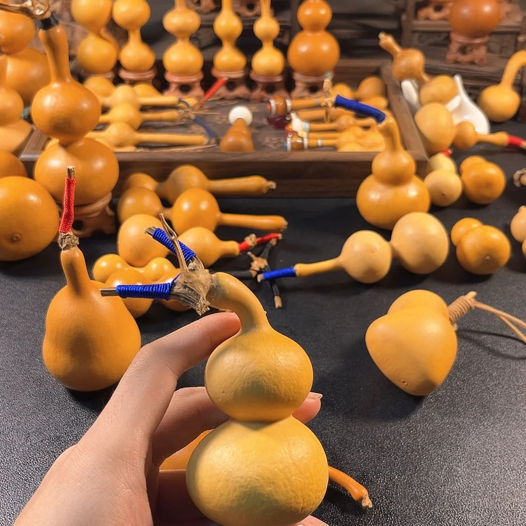 阳*豆爸回血哈哈哈哈哈