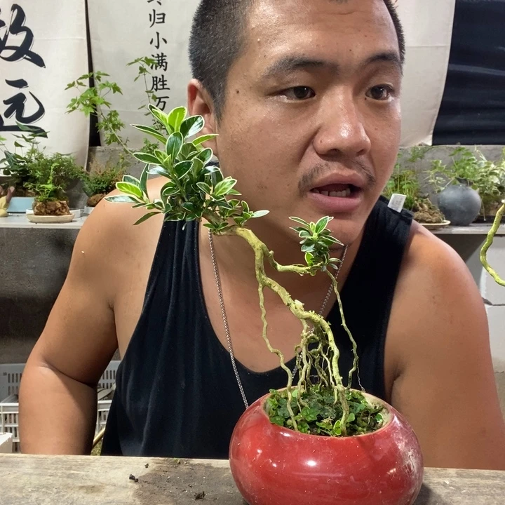 花***艺无花朵退款拉黑拉黑160