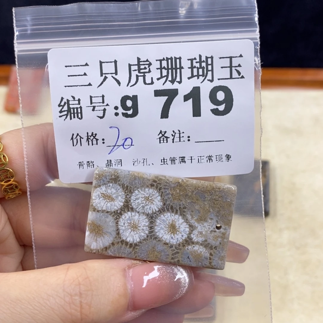 硅化珊瑚（珊瑚玉）未镶嵌1用****2