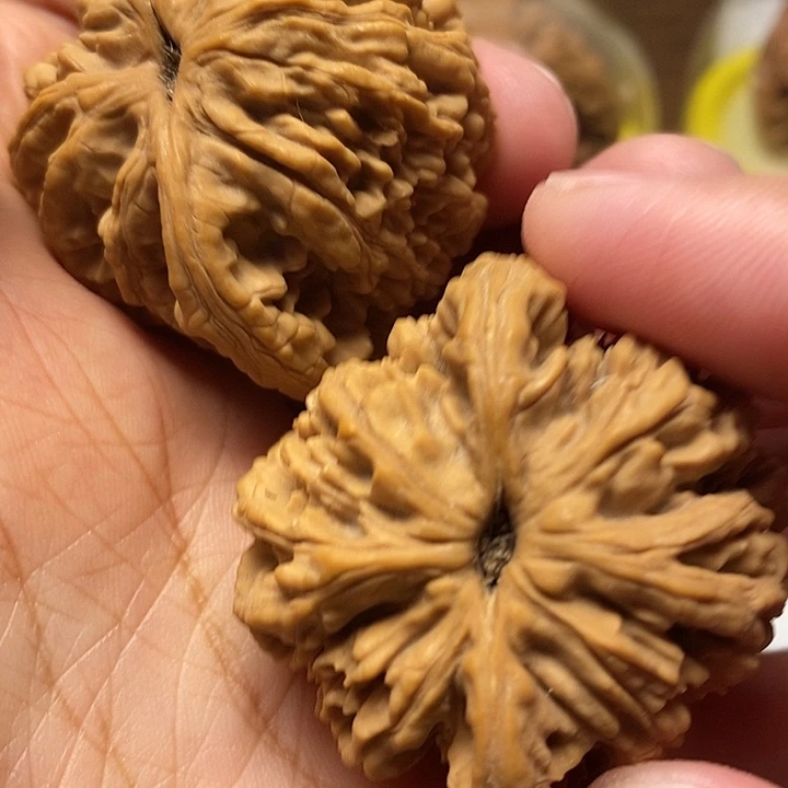 文玩核桃把件米**袁麦穗虎头