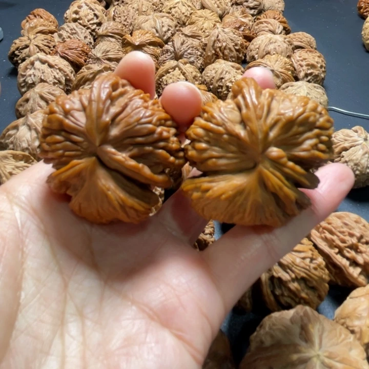 全品白狮子推土机42尺寸核桃哈哈哈哈哈哈哈