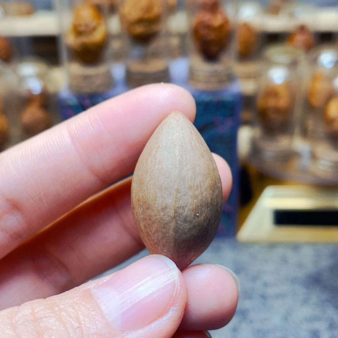 巴***乔橄榄核手串/手链橄榄