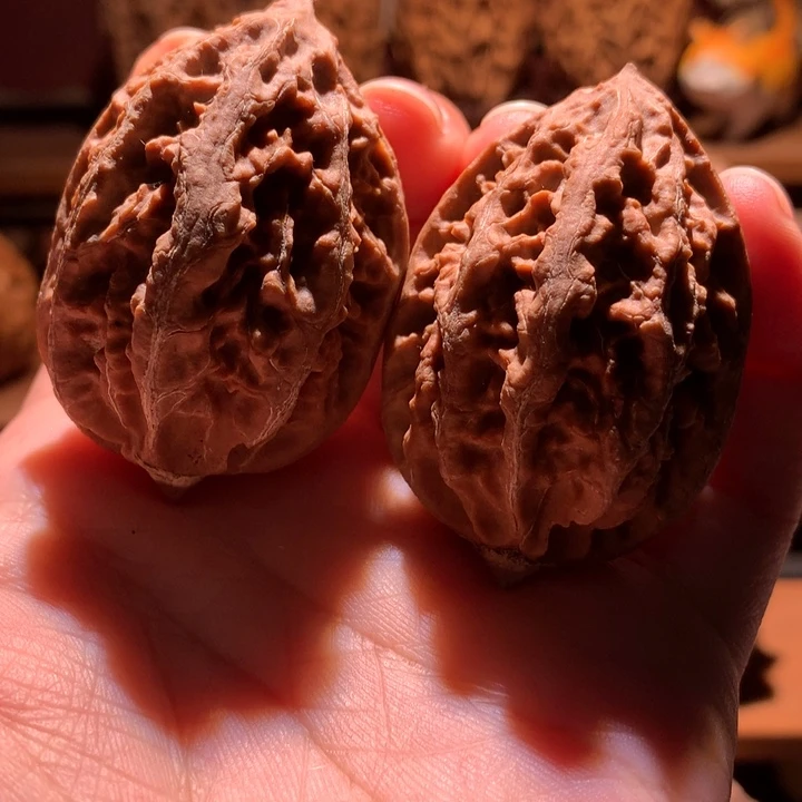 文玩核桃吊坠楸玥核55