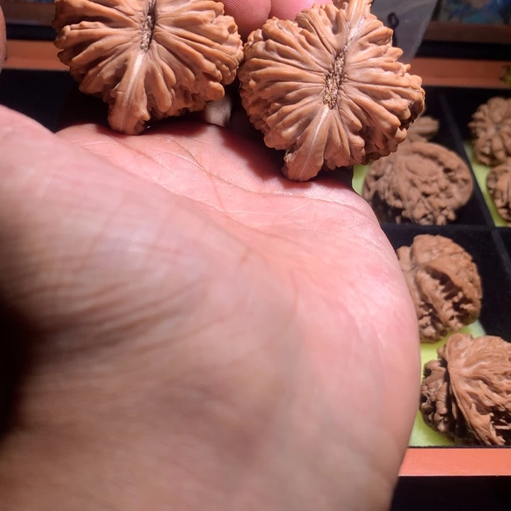 手串/手链核桃47楼王008
