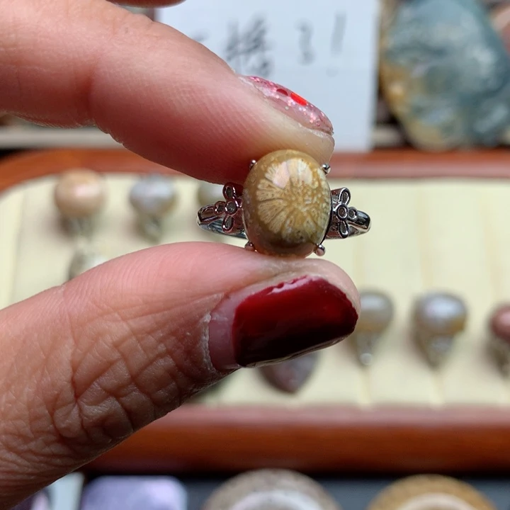 硅化珊瑚（珊瑚玉）颈饰未镶嵌