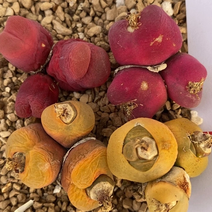 471一组一组一组