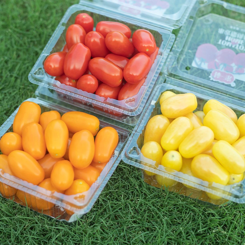 【多彩小番茄】柿一家小番茄400g/盒孕妇新鲜水果顺丰