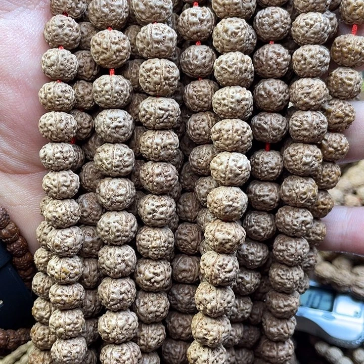 乡***永金刚菩提吊坠布加棉纯血老树王10天