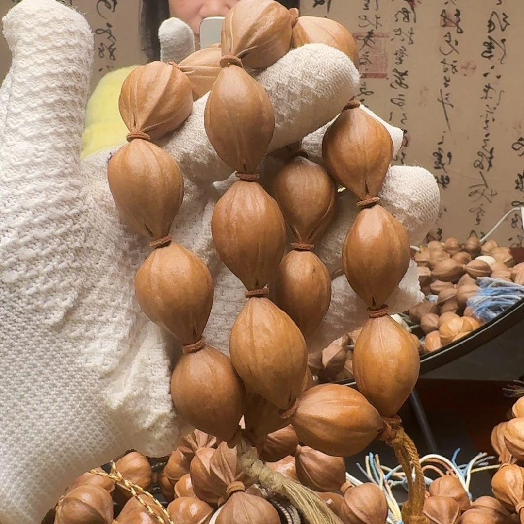 橄榄核手串鲨鱼呗