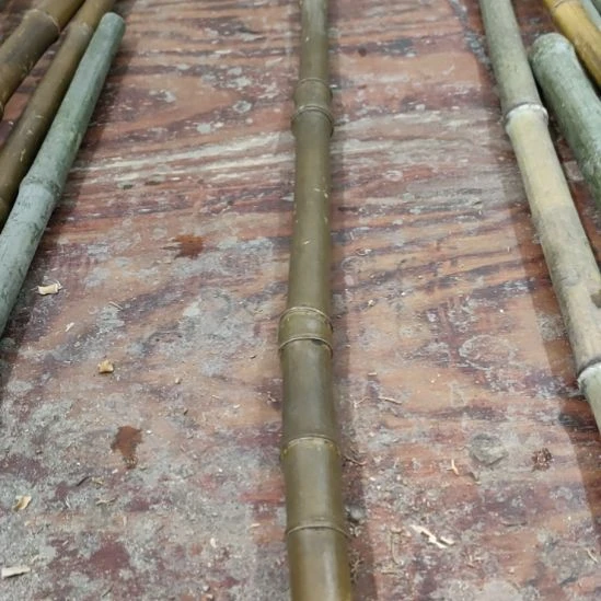 閑***、实心玉竹手把件金条料