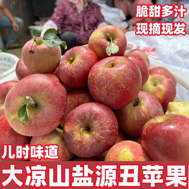 【正宗大凉山盐源丑苹果】高山现摘现发脆甜多汁3/5/8斤新鲜水果DHZ