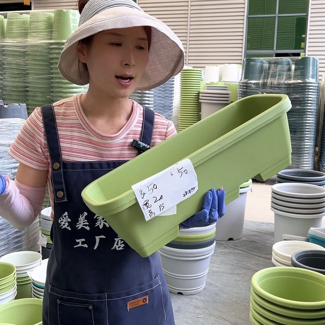 种菜盆长50果绿色5个含托