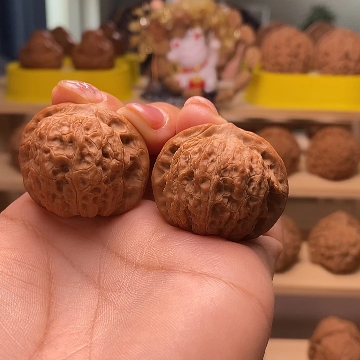 夜***风核桃36尺寸的血麒麟