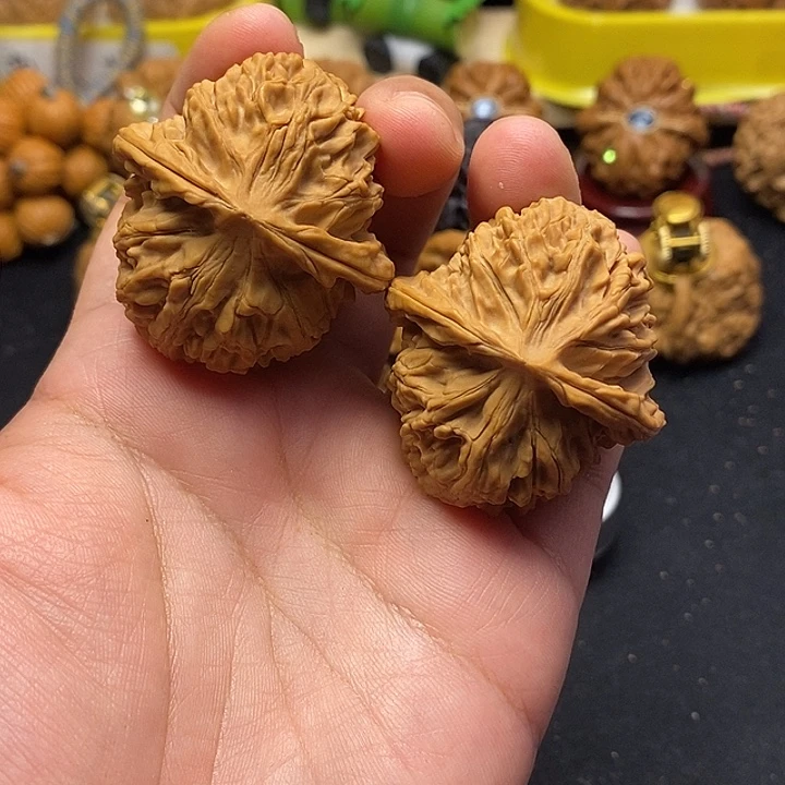 龙脊菩提吊坠核老闷