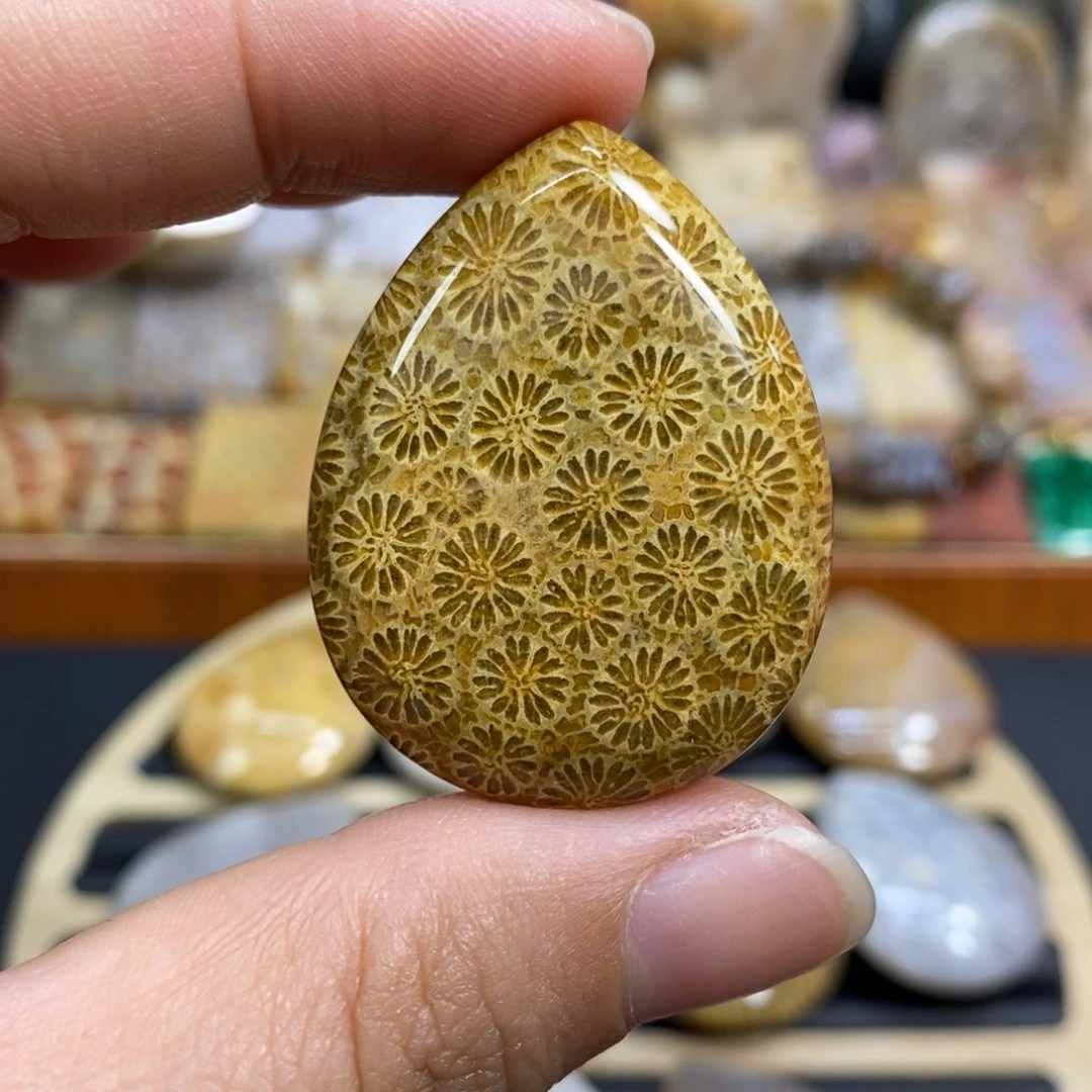 硅化玉未镶嵌颈饰K13