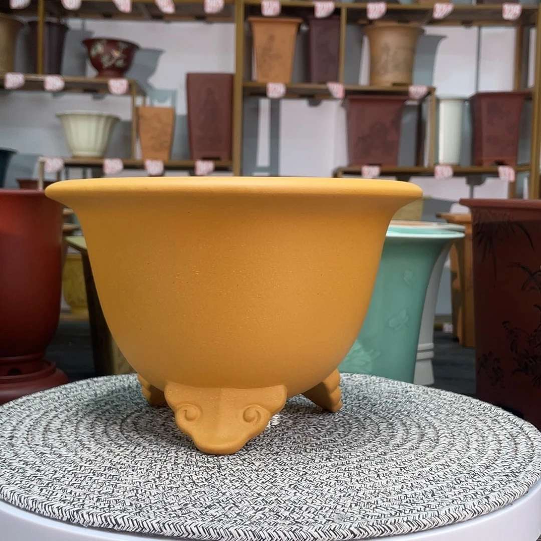 紫砂花盆花盆花盆