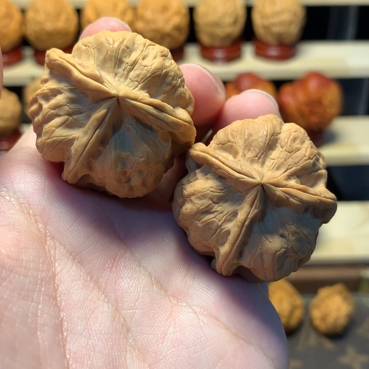 文玩核桃把件36红珊瑚