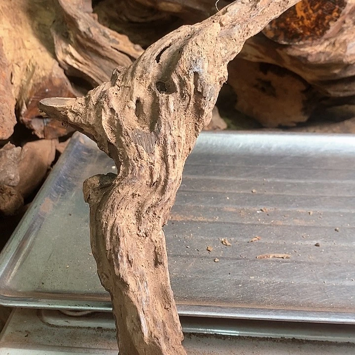 花梨木类小**岸海南黄花梨