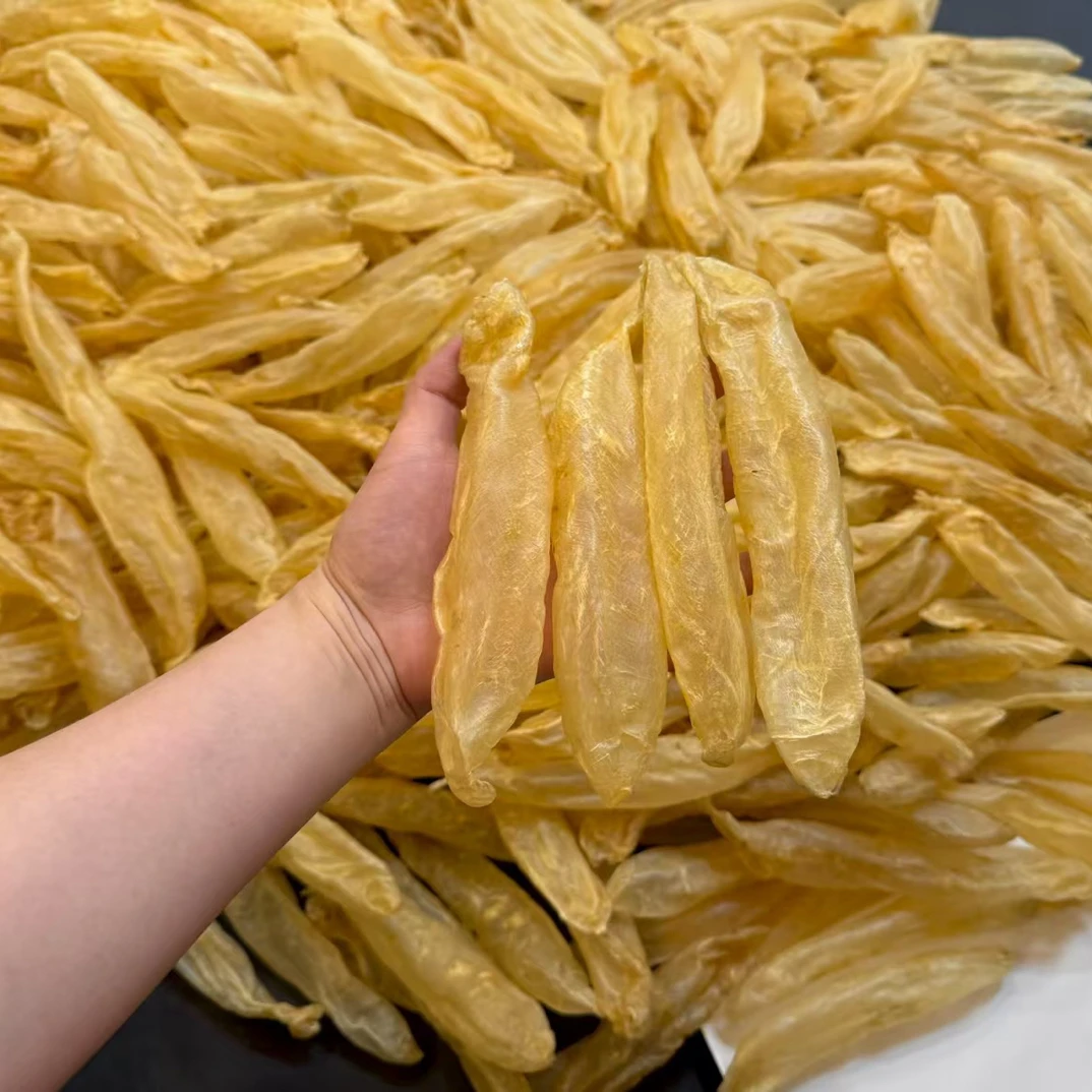 精选16头甲肚筒鱼胶滋补煮汤炖奶