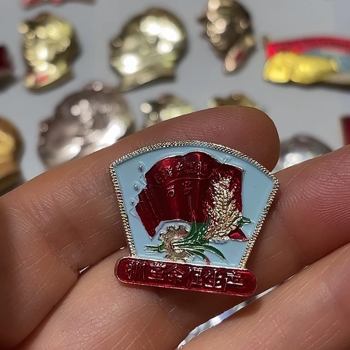 湛***欺其他普通金属纪念章