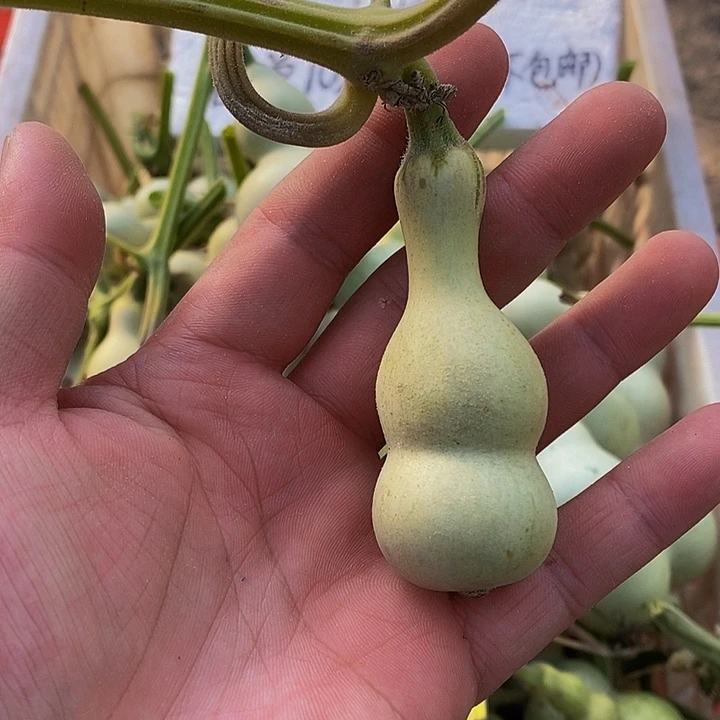 幸****员哈哈哈哈哈哈哈哈