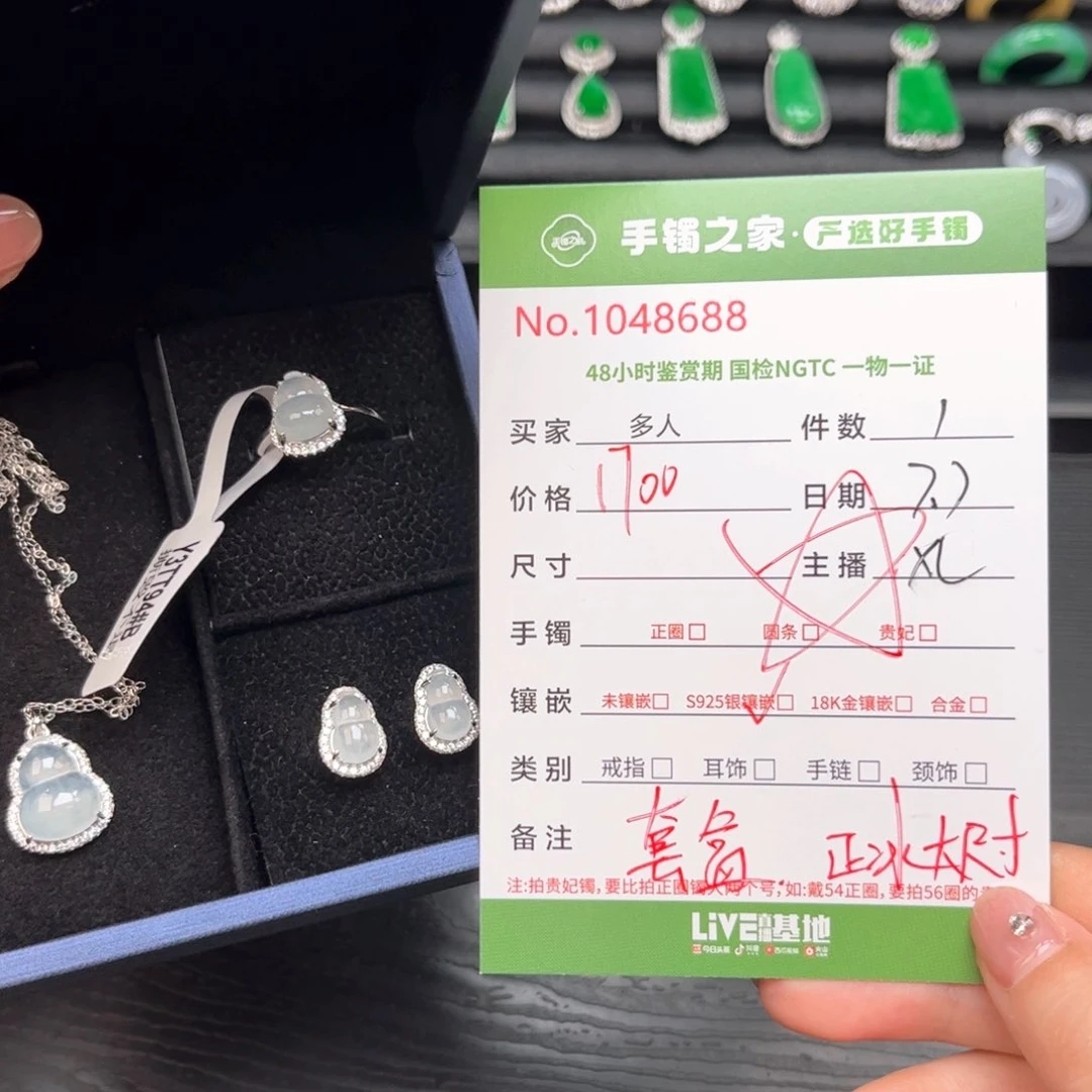 翡翠银S925镶嵌颈饰多人