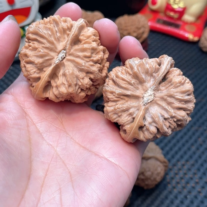 文玩核桃把件王*生粗筋4.7微修