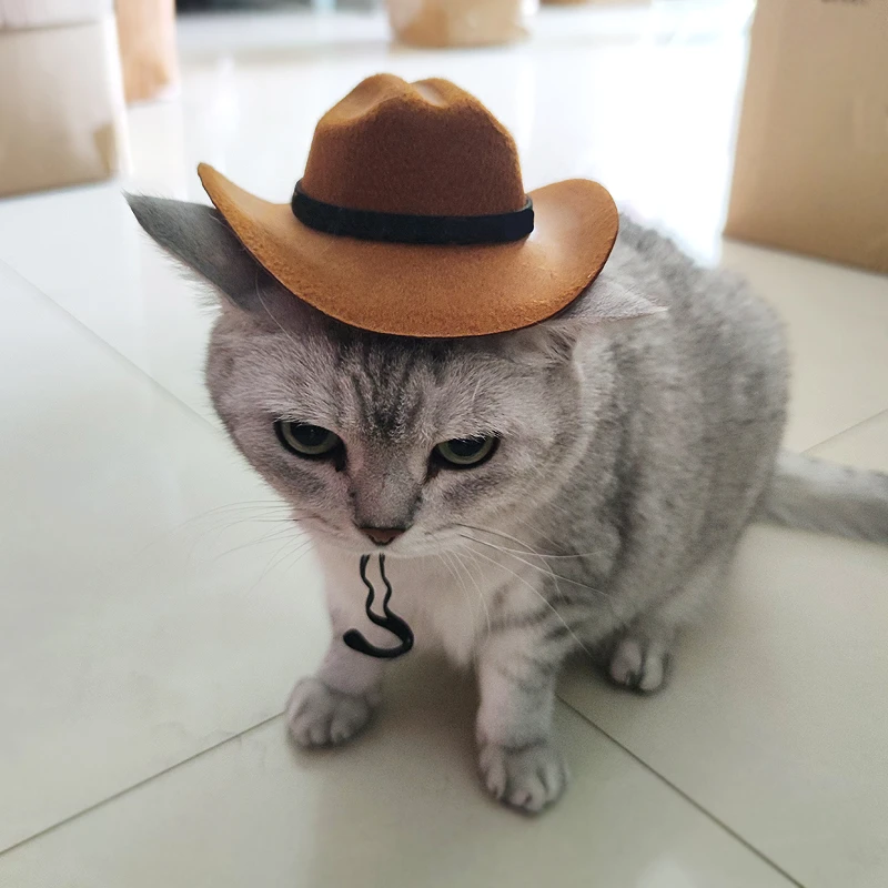 时尚潮流宠物猫咪西部牛仔风格帽子配饰大小猫型通用松紧带可调节