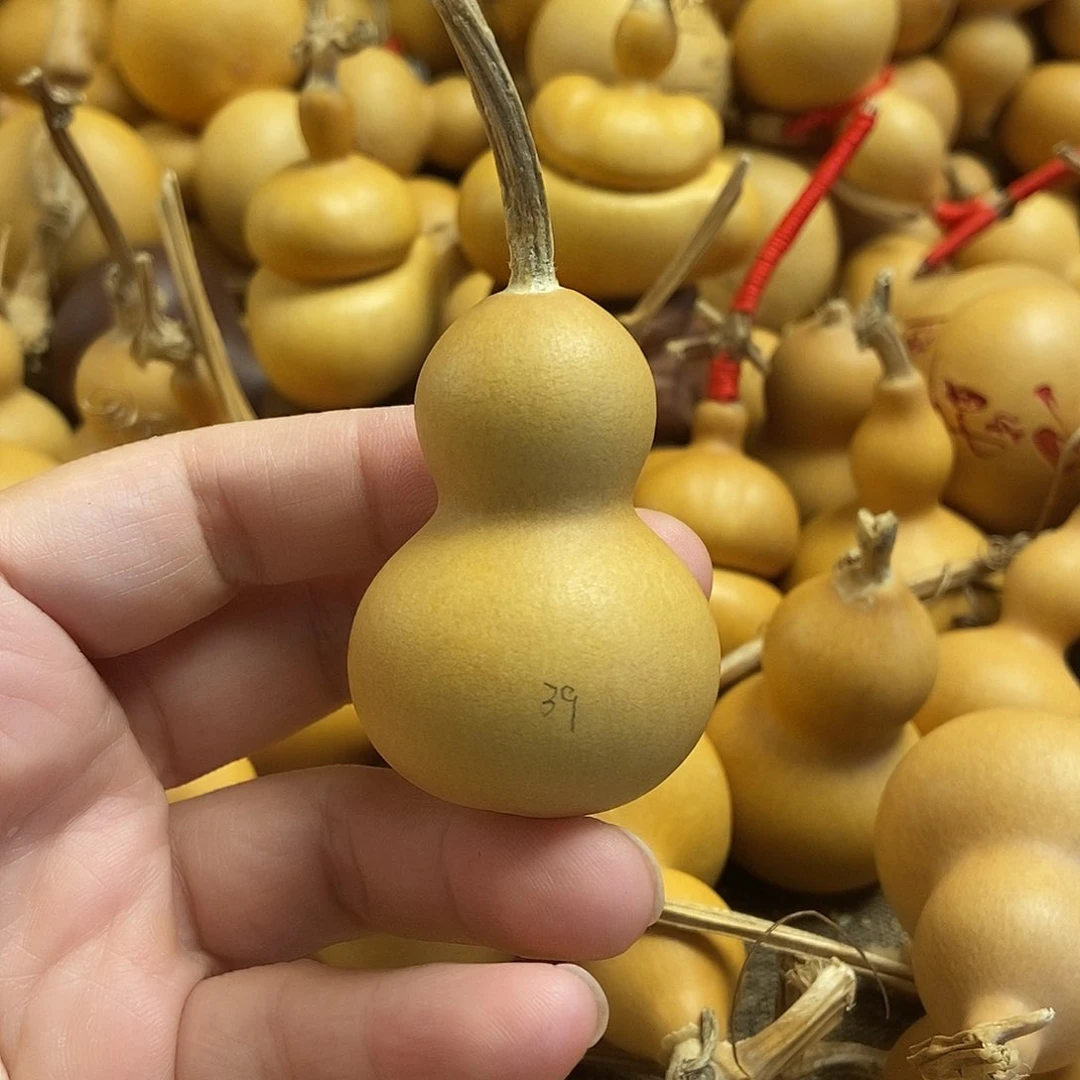 文玩葫芦 完美主义者 慎拍39