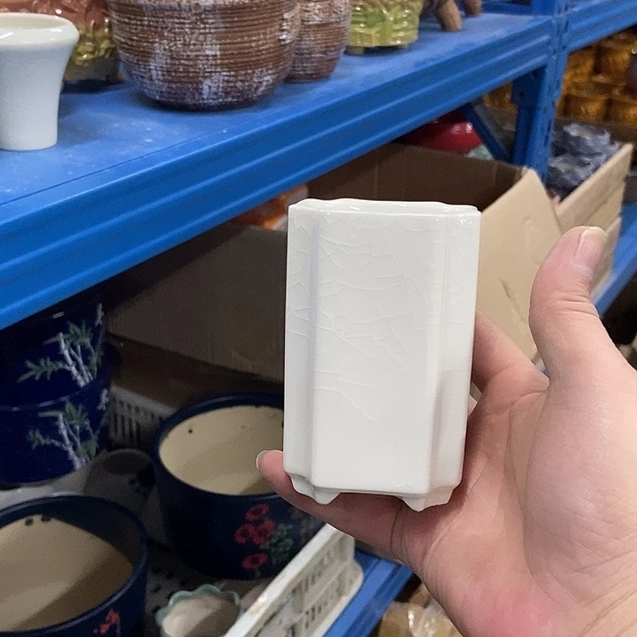 花盆单场满9.9发货6×10