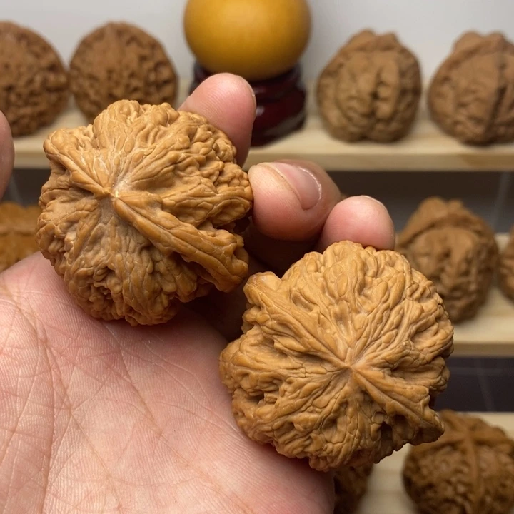 把件核桃45尺全品球大粗筋