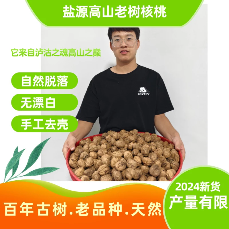核桃凉山高山老树薄皮核桃野生百年老树原味孕妇儿童坚果2024新货
