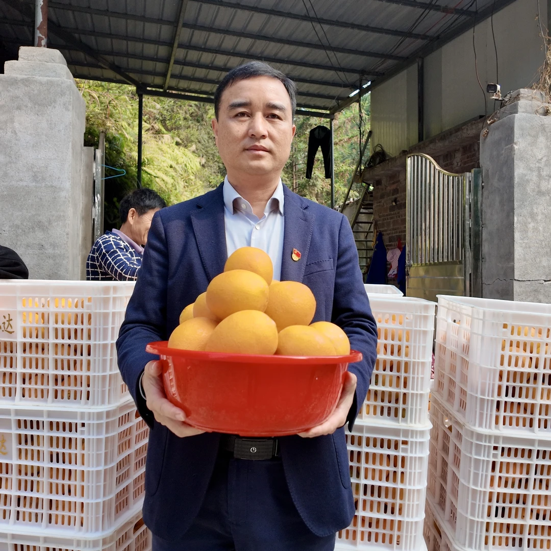 「魏书记助农」正宗赣南脐橙现摘手剥香甜爆汁源安远县直发现采现发