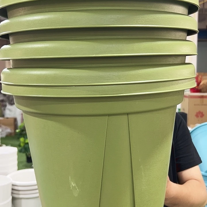 青山口40高35果绿色5个无托