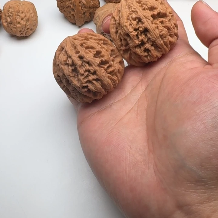 核桃大粗筋福利对