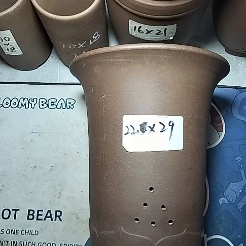 莲花金钟一个花盆