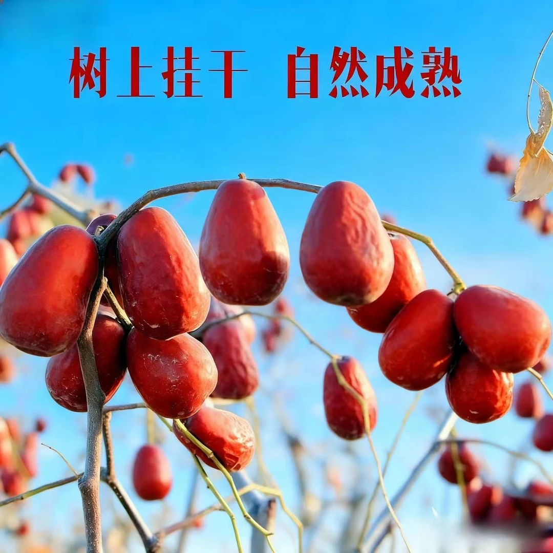 【2025和田大枣产地发货】新疆红枣饱满厚实未加工未清洗肉厚核小原