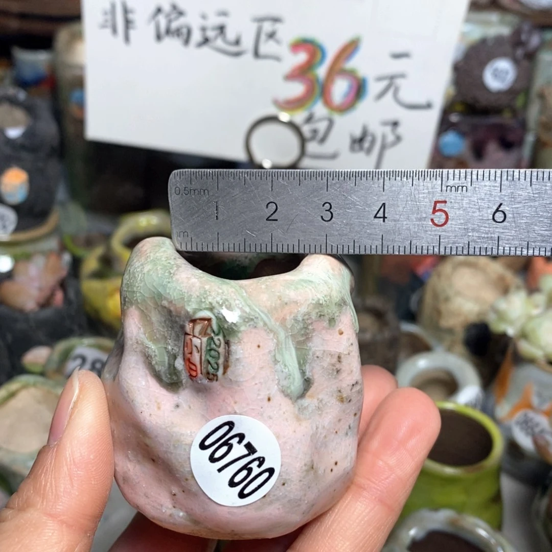 花盆拍3送一个小礼物