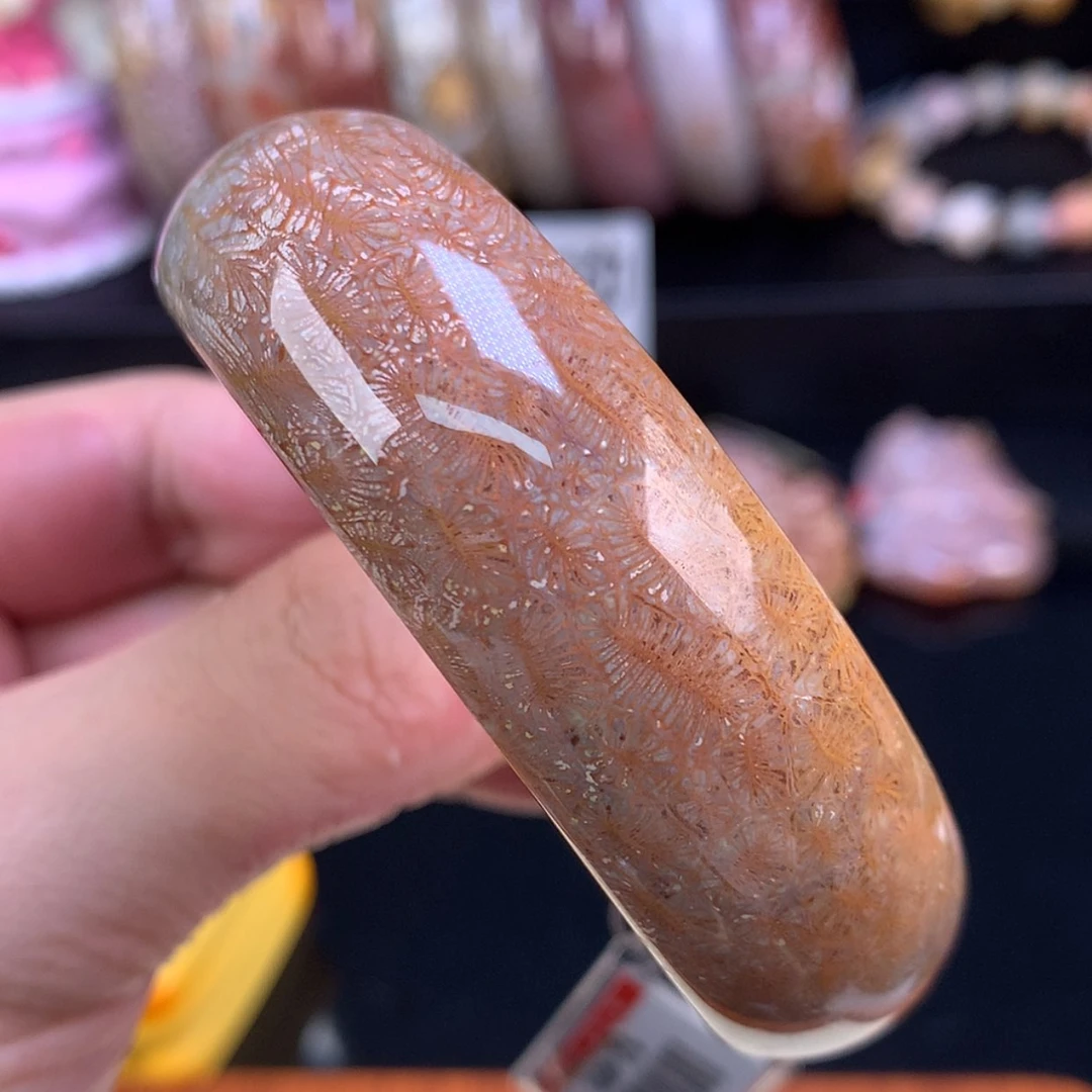 【闪购商品】颈饰未镶嵌硅化珊瑚（珊瑚玉）57号56.7圈红彩胖虫