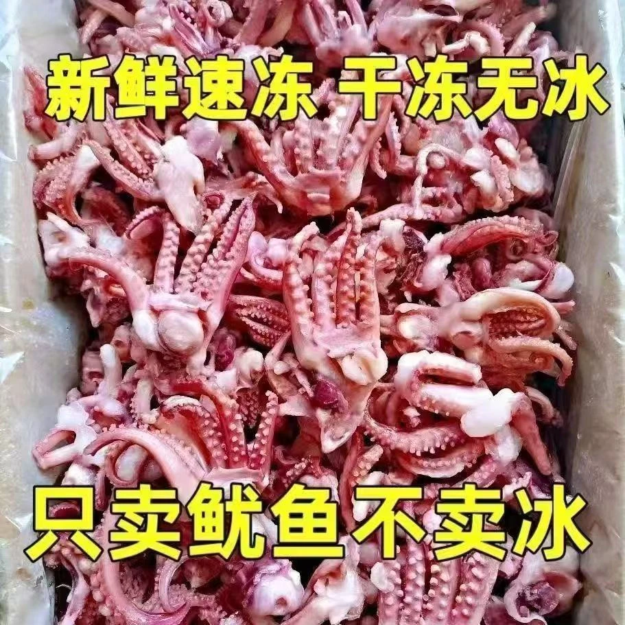 【冷链发货】新鲜鱿鱼头须脆口大章鱼足新鲜冷冻海鲜速冻海货章鱼须