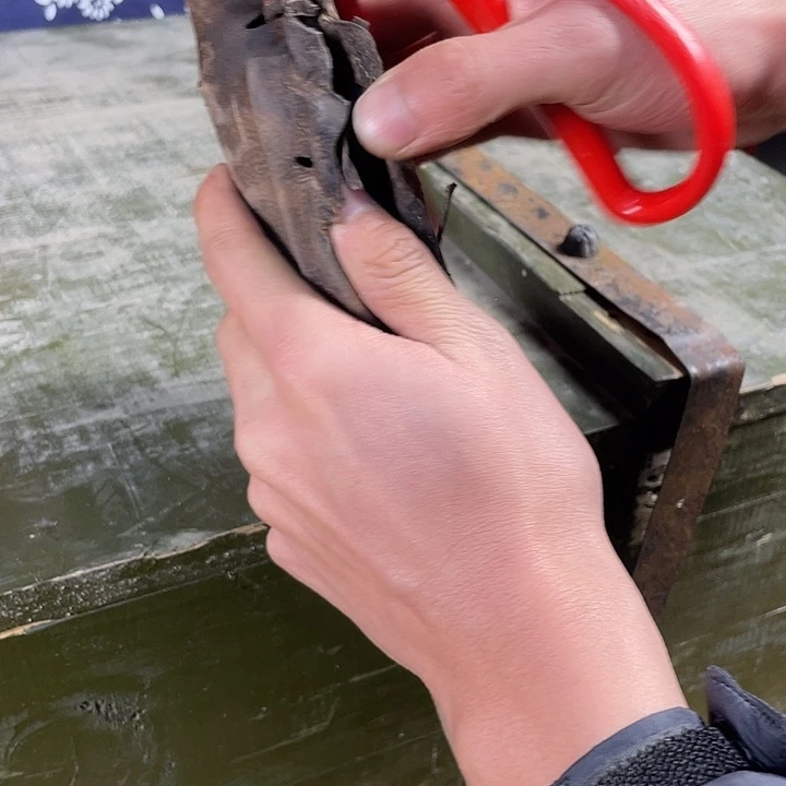 瓷片哈哈哈哈哈哈看