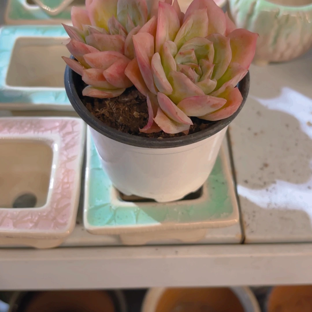 浩***雪相框蓝色新疆包邮新疆包邮