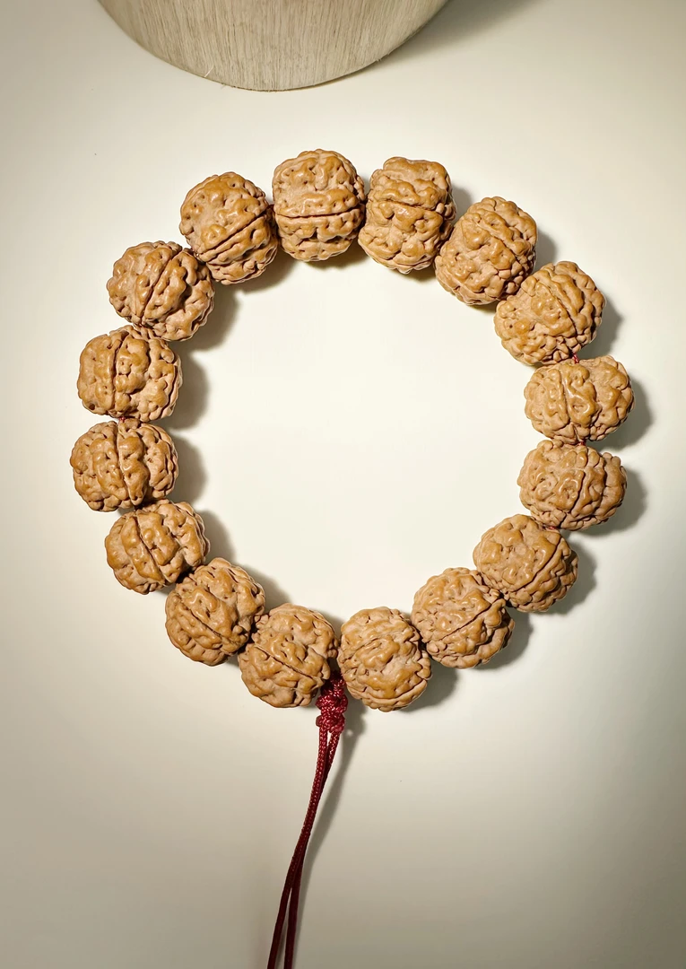 【四喜文玩】大尺寸帝王花原生态双龙梅花小金刚单圈