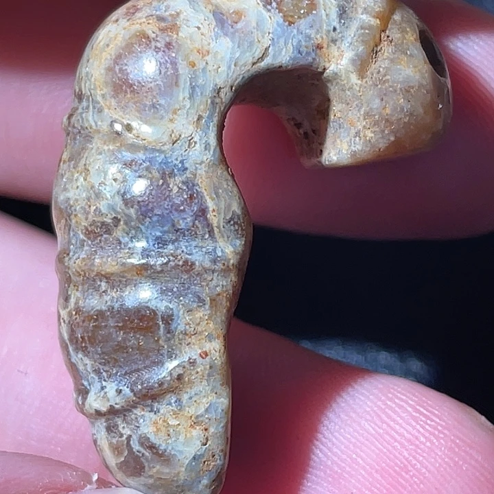 小***跑瓷片哈哈哈哈哈哈呼呼呼