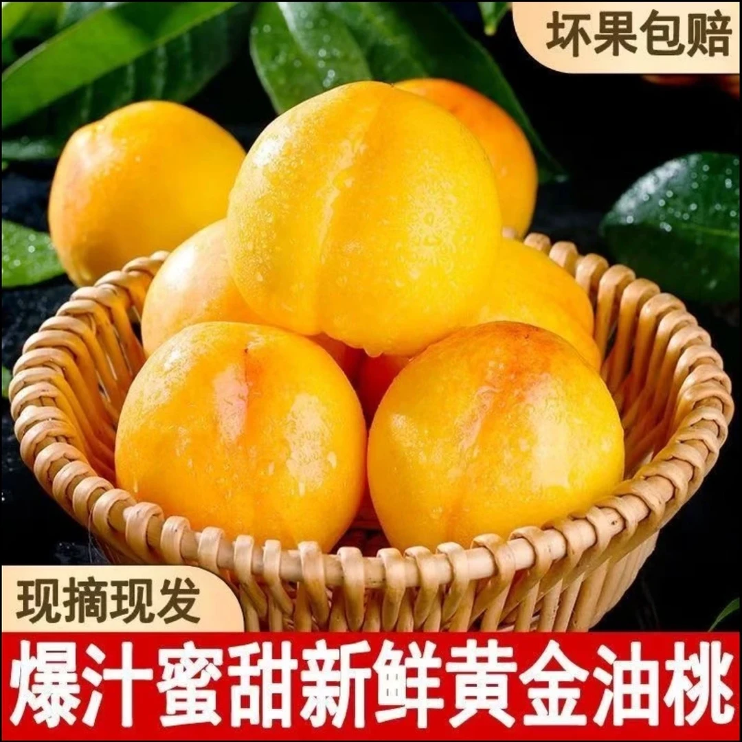 2025山东蒙阴头茬正宗油黄桃蒙阴蜜桃新鲜水果现摘现发
