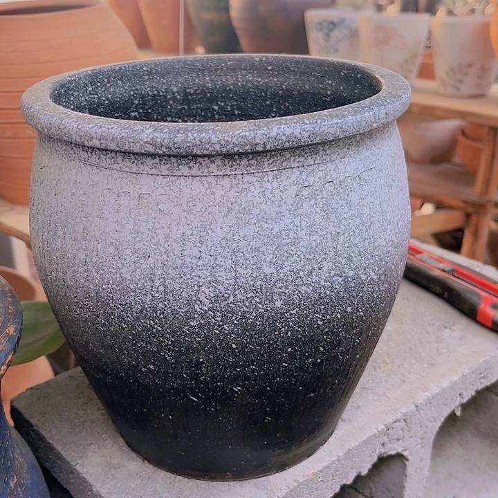 红陶190号19×16白瑕