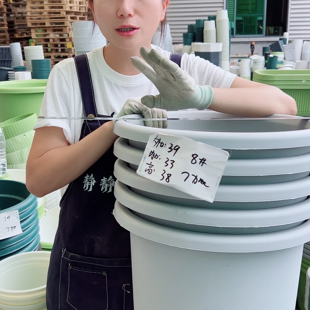 四季盆8#灰白5个无托