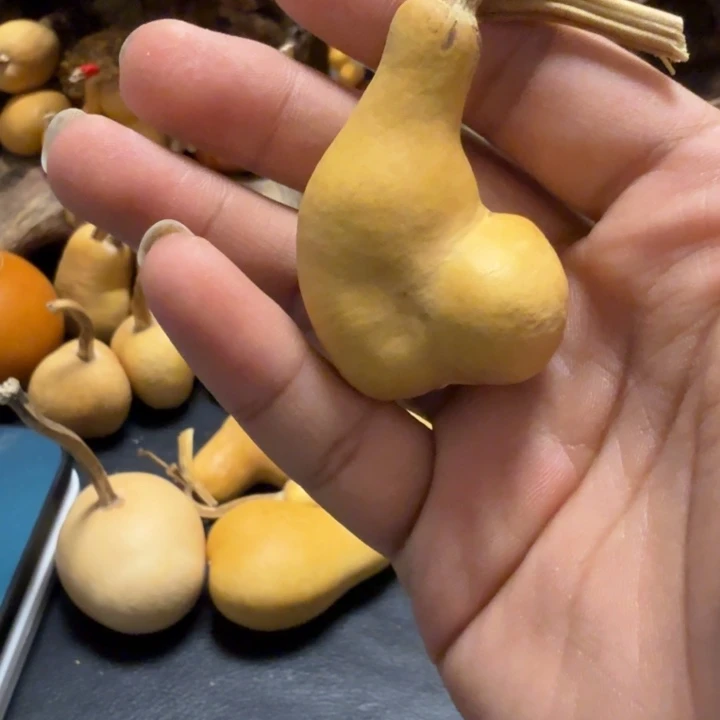 贝***利6666665666666 6666