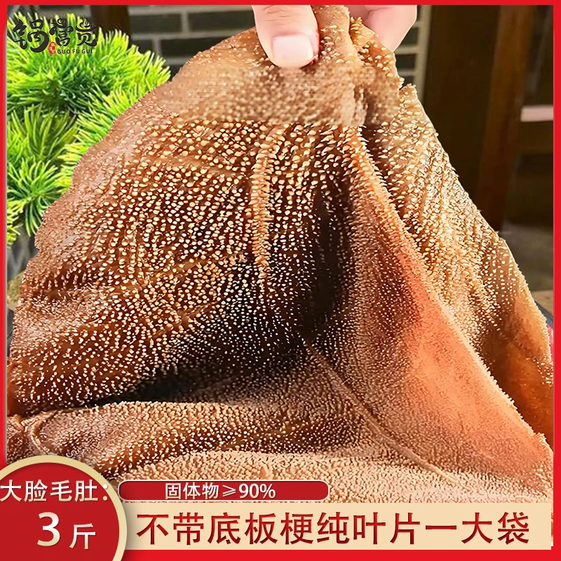 3斤大脸毛肚纯叶片不带底板梗牛百叶 固形物含量90%以上