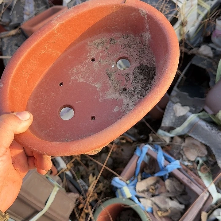 在家里等了你三分钟还等来我给您电话